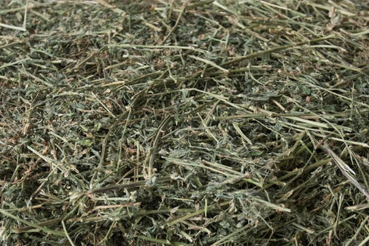 Organic Alfalfa